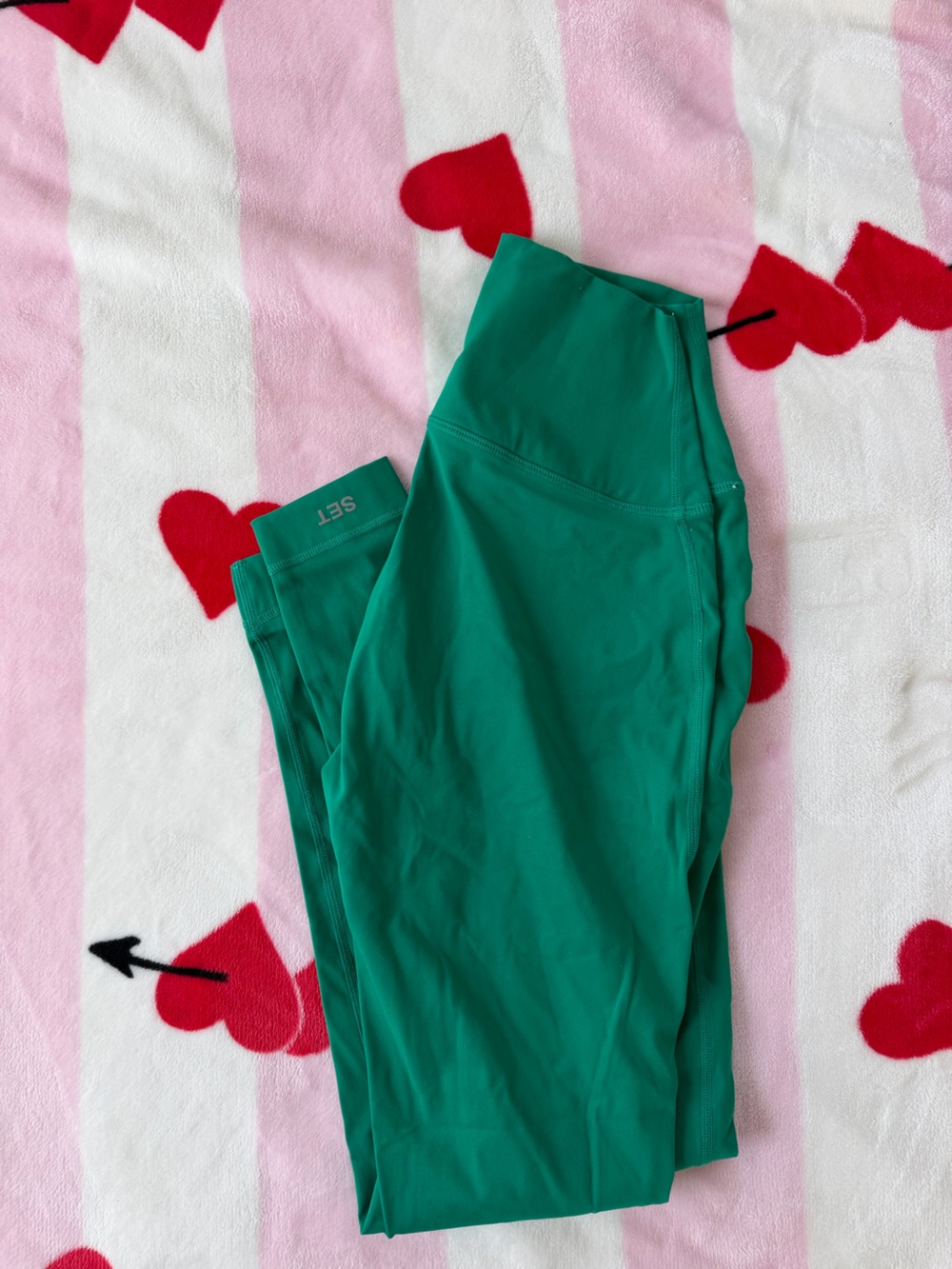 setactive sport body leggings
